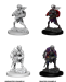 Nolzur: Drow (2)