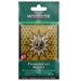 Warhammer Underworlds: Premium Card Sleeves