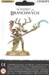 Sylvaneth: Branchwych