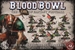 Blood Bowl: The Skavenblight Scramblers