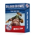 Blood Bowl: Nurgle Team Card Pack