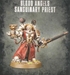 Blood Angels: Sanguinary Priest