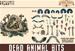 The Spare Parts Emporium: Dead Animal Bits