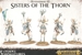Sisters of the Thorn / Wild Riders 