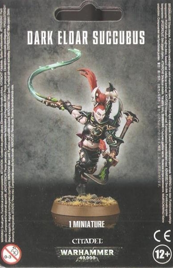 Drukhari: Succubus 