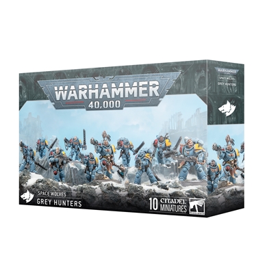 Space Wolves: Grey Hunters PREORDER