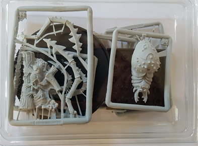 Gloomspite Gitz: Scuttleboss on Gigantic Spider