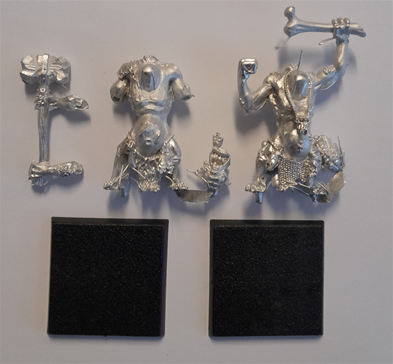 Orcs & Goblins: Common Trolls