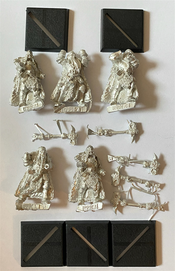 The Empire: Teutogen Guard Warriors 