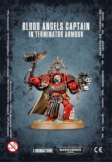Blood Angels: Captain in Terminator Armour