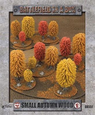 Small Autumn Woods 