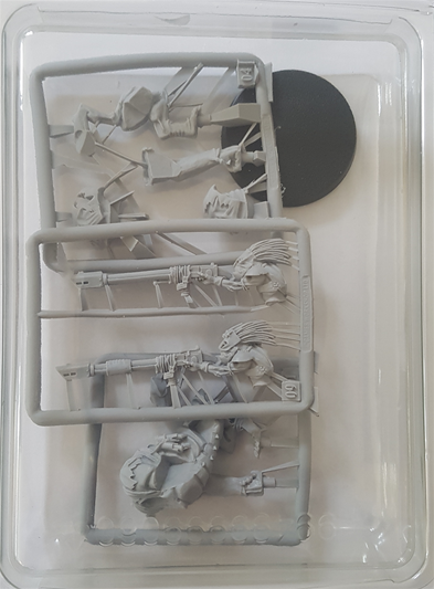 Tau: Krootox Rider