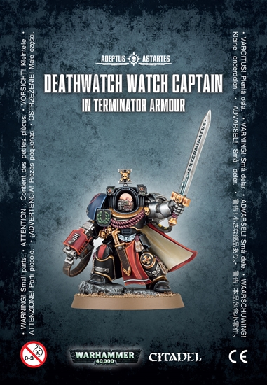 Deathwatch: Watch Captain in Terminator Armour