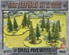 Small Pine Wood