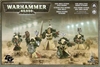 Dark Angels: Company Veterans / Fallen