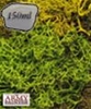 Battlefields Flock: Summer Undergrowth (150 ml)