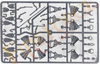 Teutonic Infantry