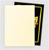 Dragon Shield Standard: Dual Matte Valor (100)