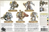 Space Wolves: Wolf Guard Terminators 