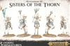 Sisters of the Thorn / Wild Riders 